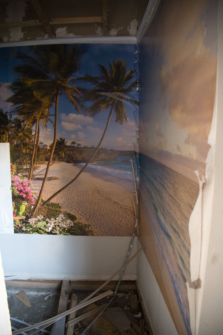 _DSC6265.jpeg