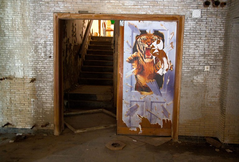 _DSC2939.jpeg
