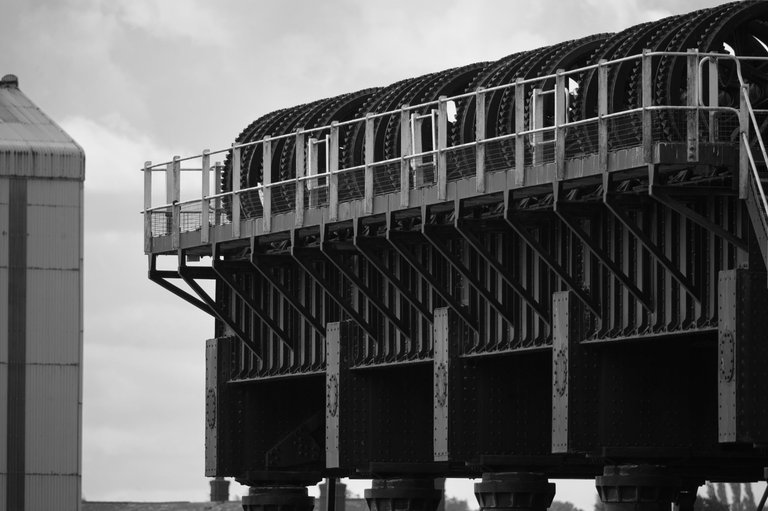 _DSC4495.jpeg