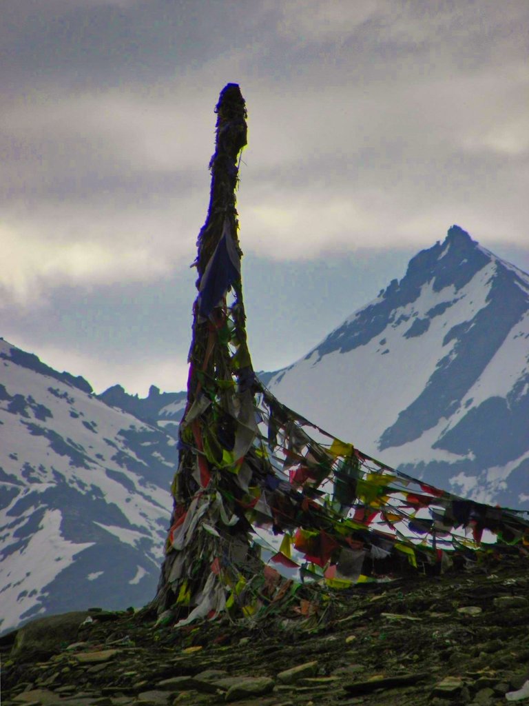 rohtan25.jpeg