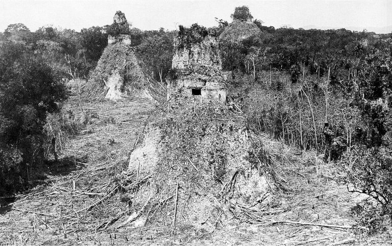 Tikal1882.jpeg