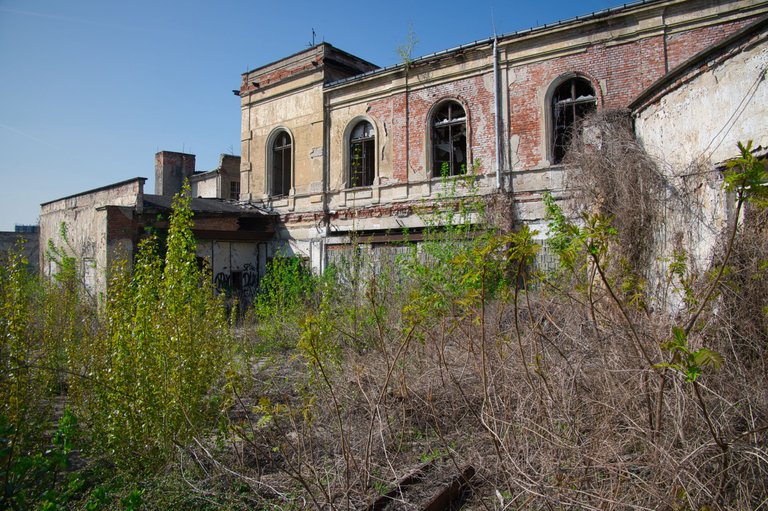 _DSC2857.jpeg