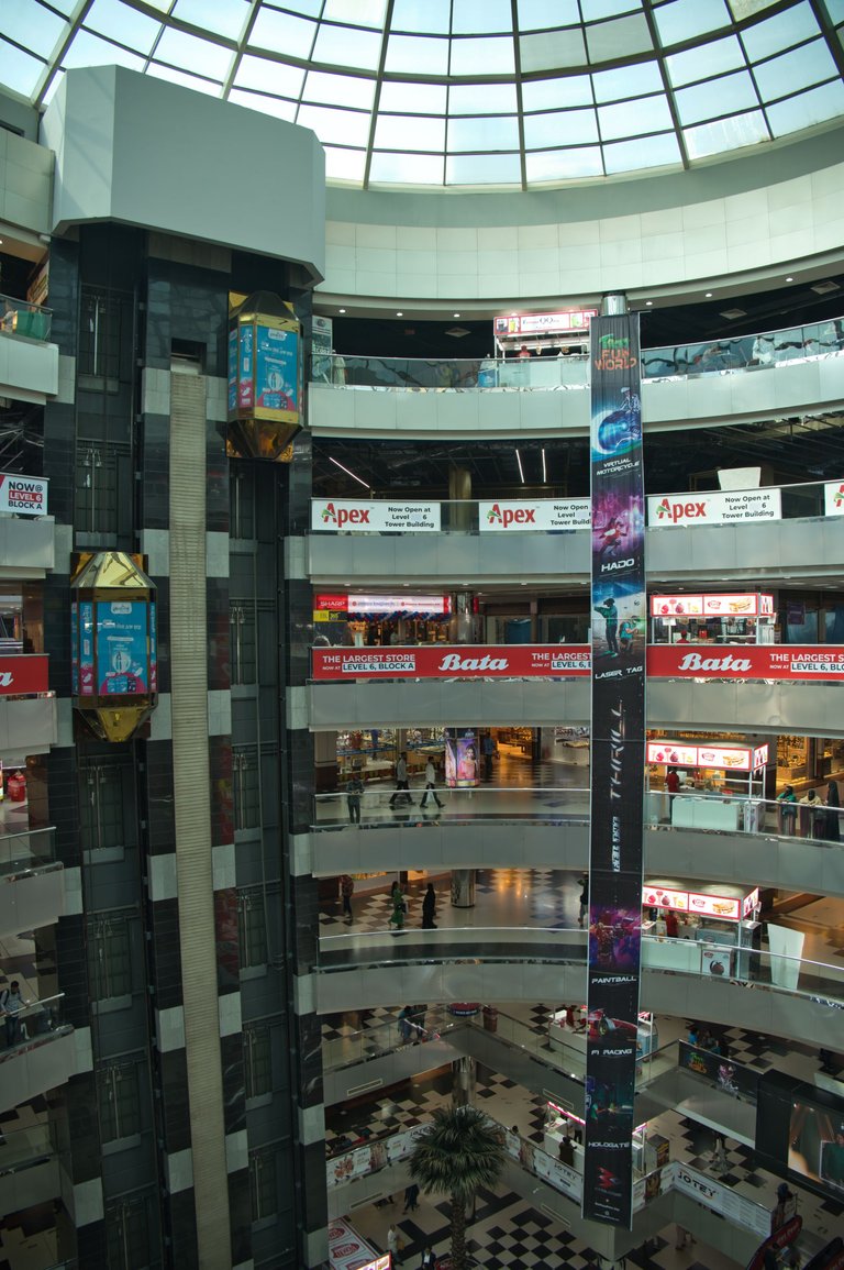 _DSC7789.jpeg