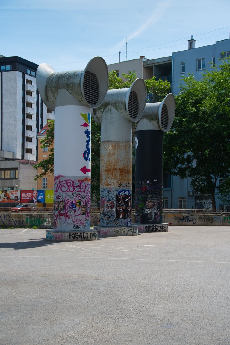 _DSC0830.jpeg