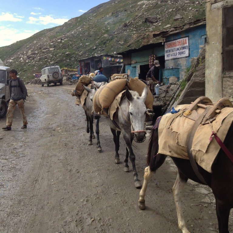 rohtan4.jpeg