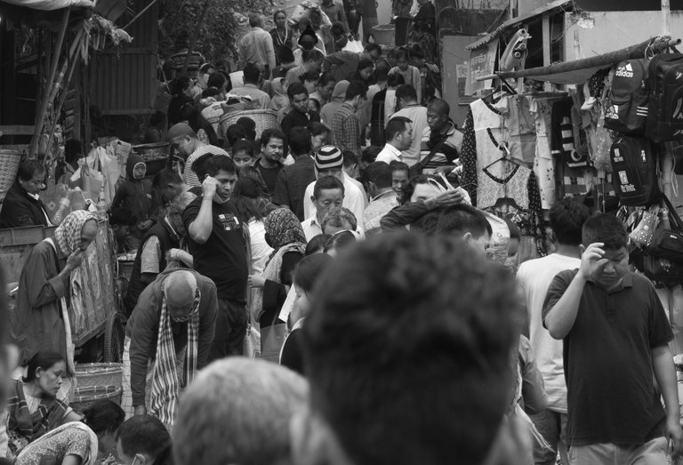 _DSC7598.jpeg