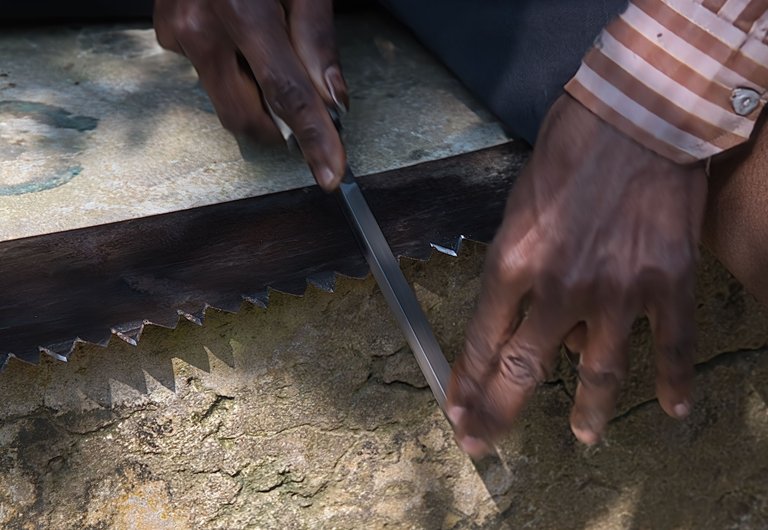 The saw sharpener