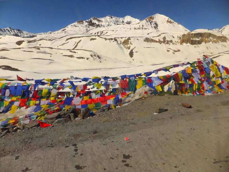 rohtan33.jpeg