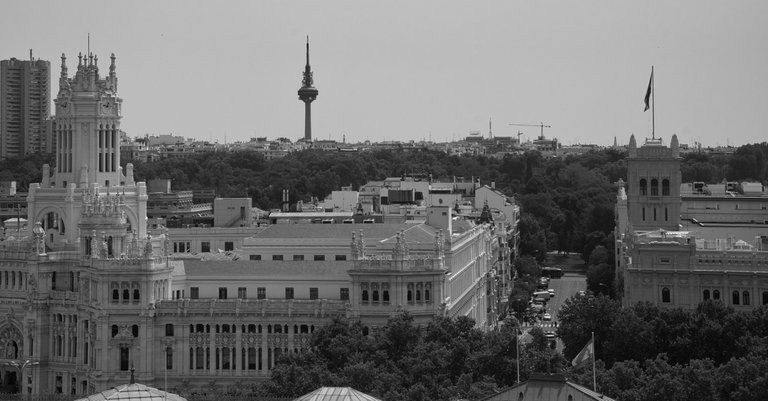 _DSC2298.jpeg