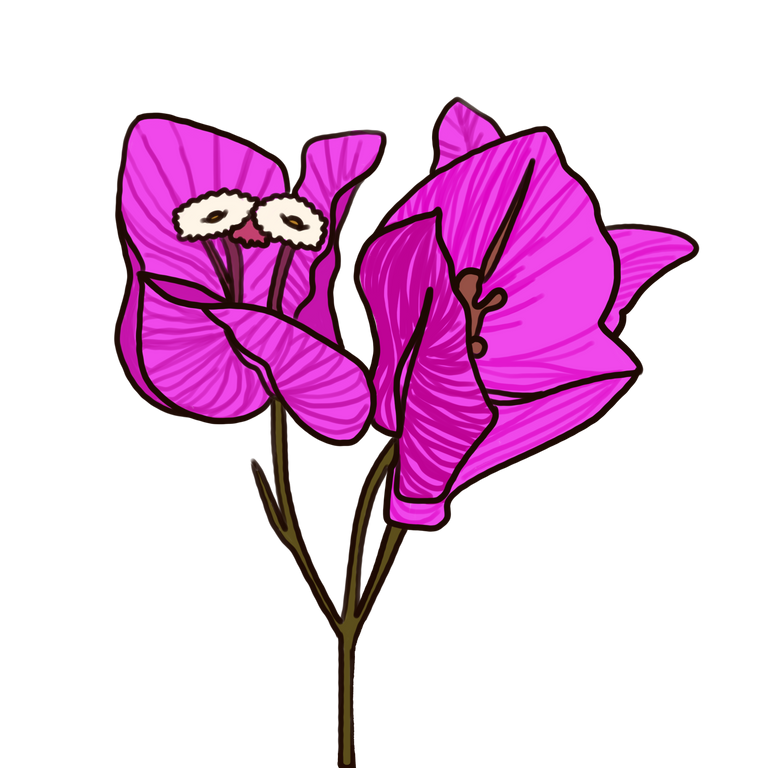 flor.PNG