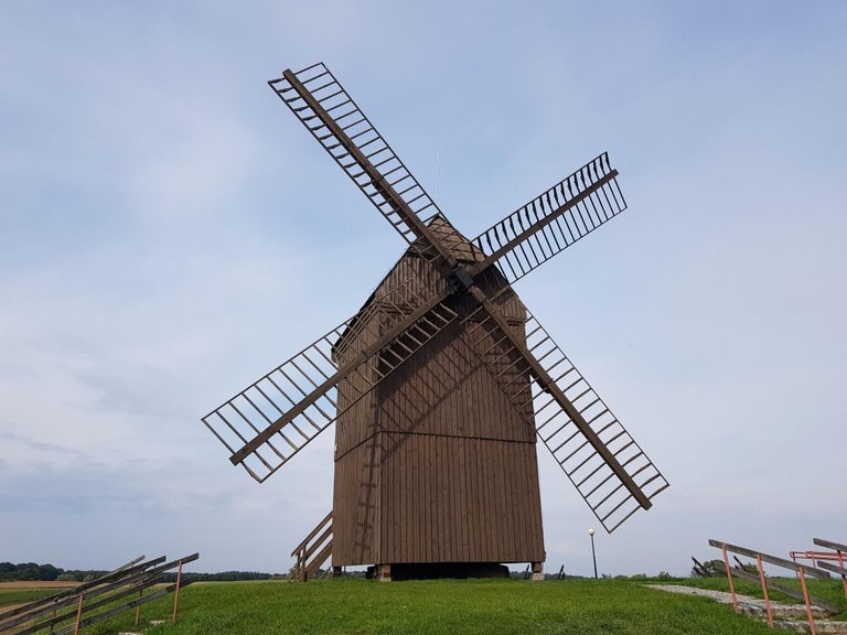 336186140_873169937122592_8796879022409720000_n.jpg