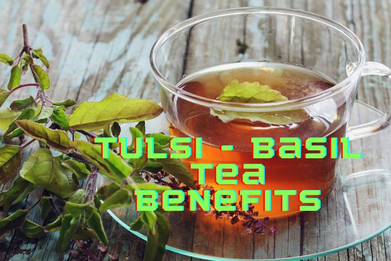 Tulsi Tea benefits.png