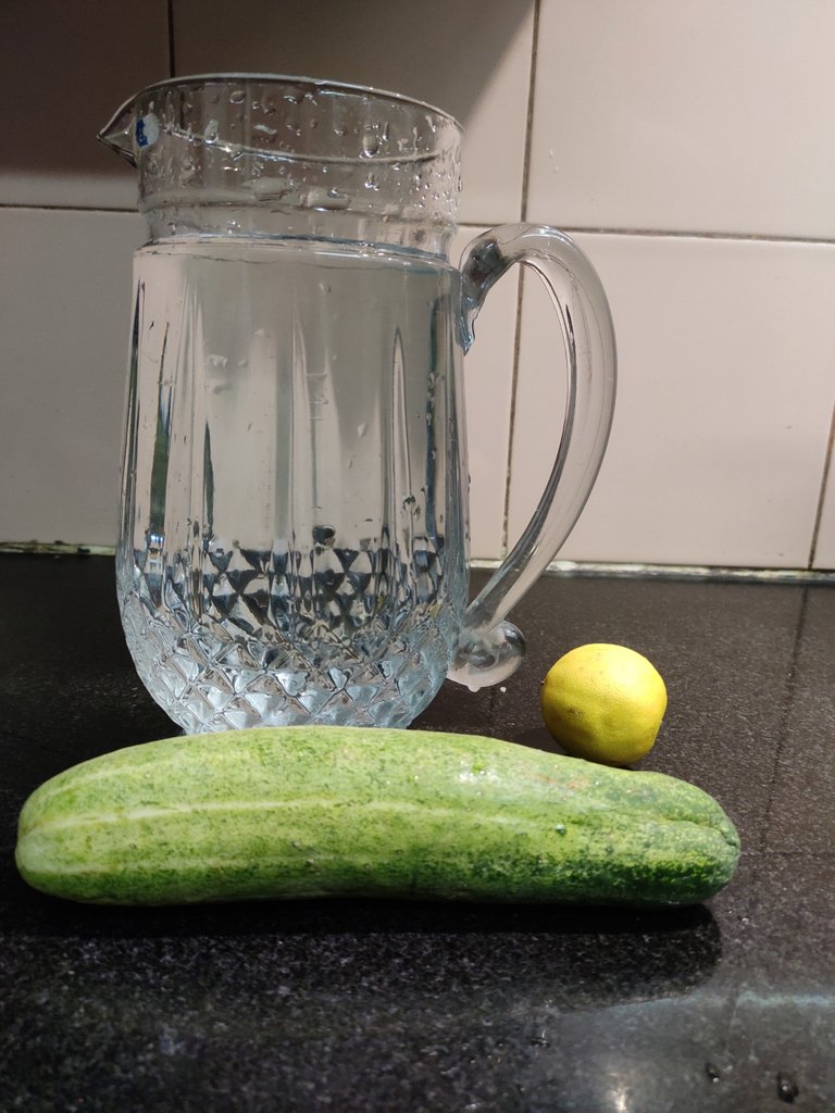 Alkaline Water Recipe How to Prepare Alkaline Water Home — Hive