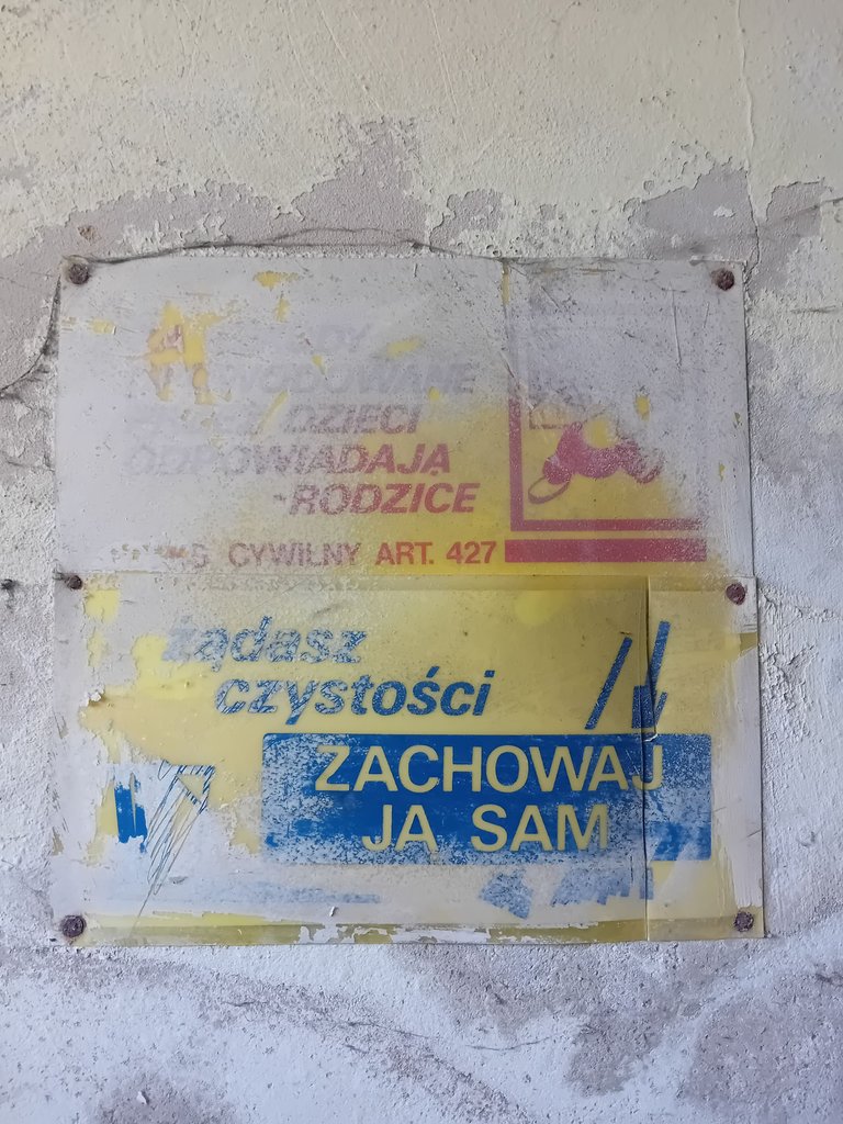 1000035194.jpg