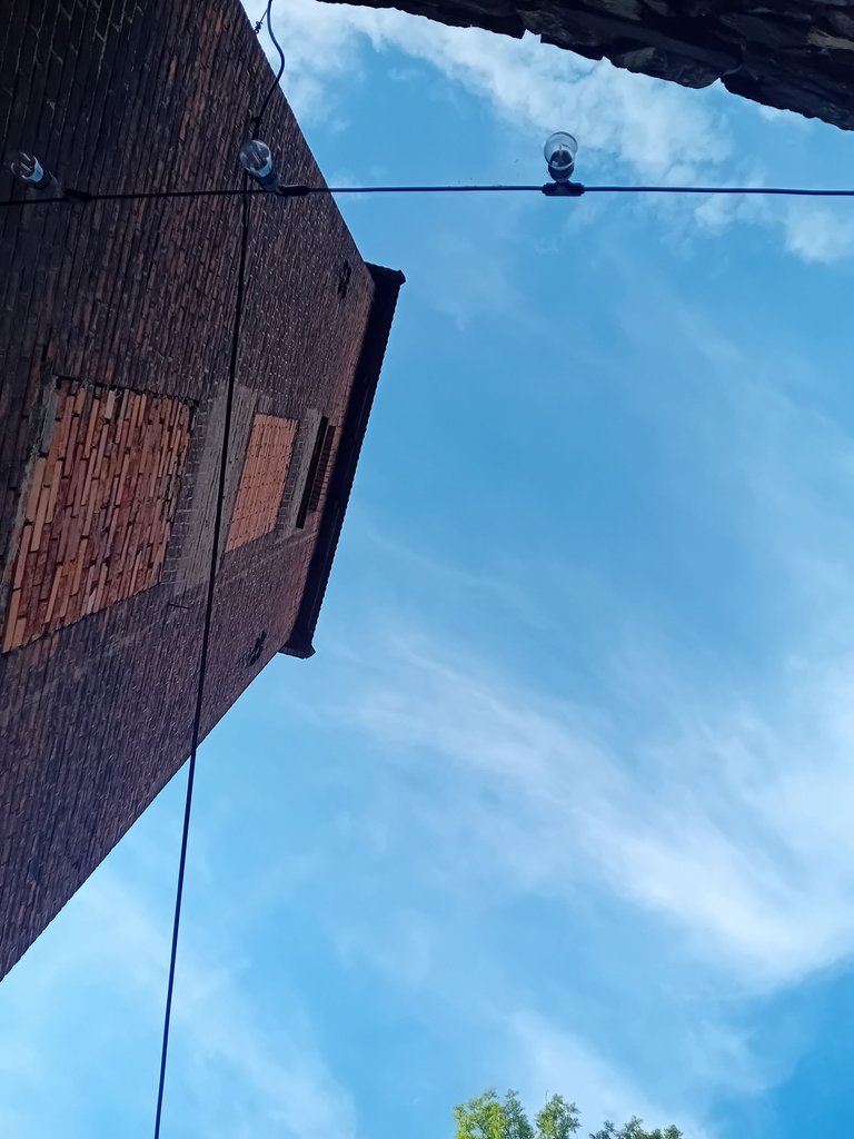 1000037546.jpg