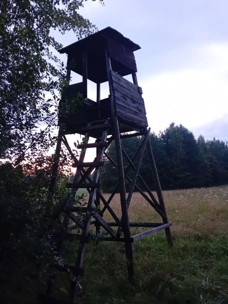 1000043079.jpg