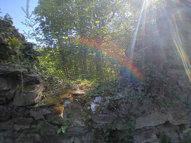 20250501_164444.jpg