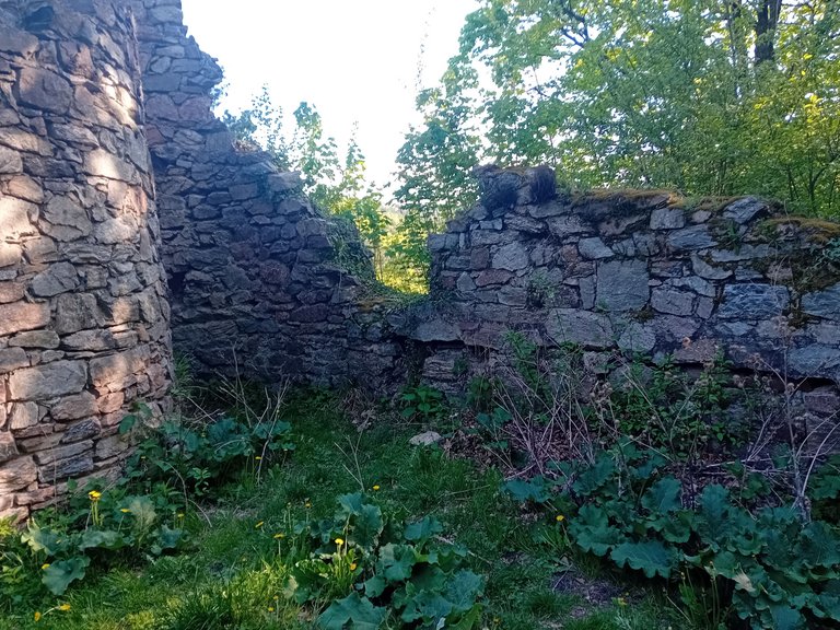 20250501_173135.jpg