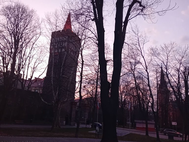 1000026524.jpg