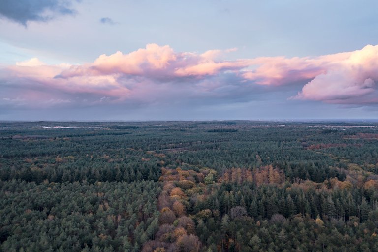 DJI_0135.jpg