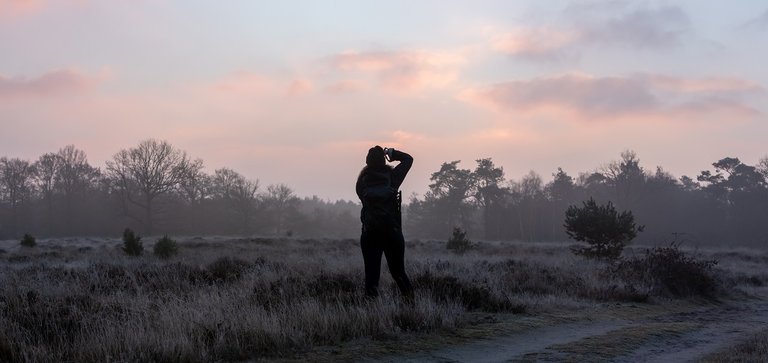 IMG_9545-Pano.jpg
