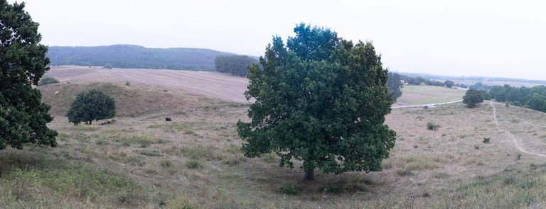 IMG_0329-Pano-2.jpg