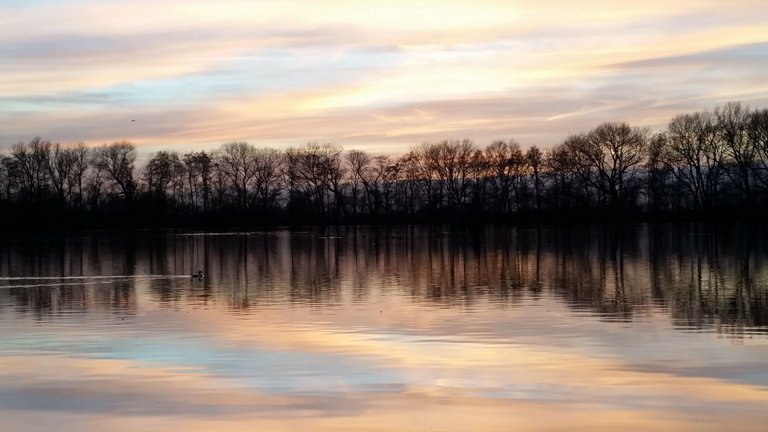 20150305_183420.jpg