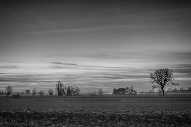 IMG_9265_HDR_1.jpg