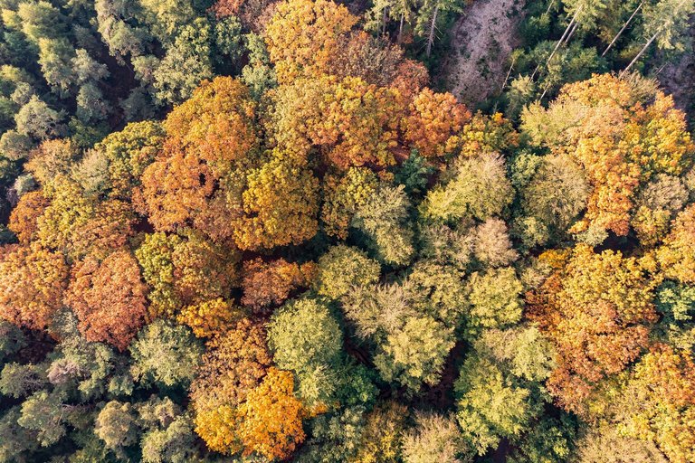 DJI_0322.jpg