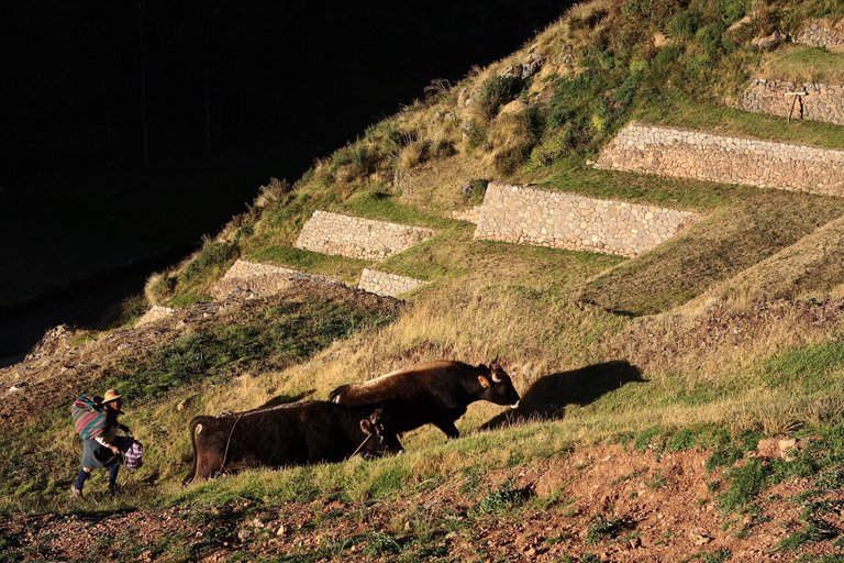 Peru (999).jpg
