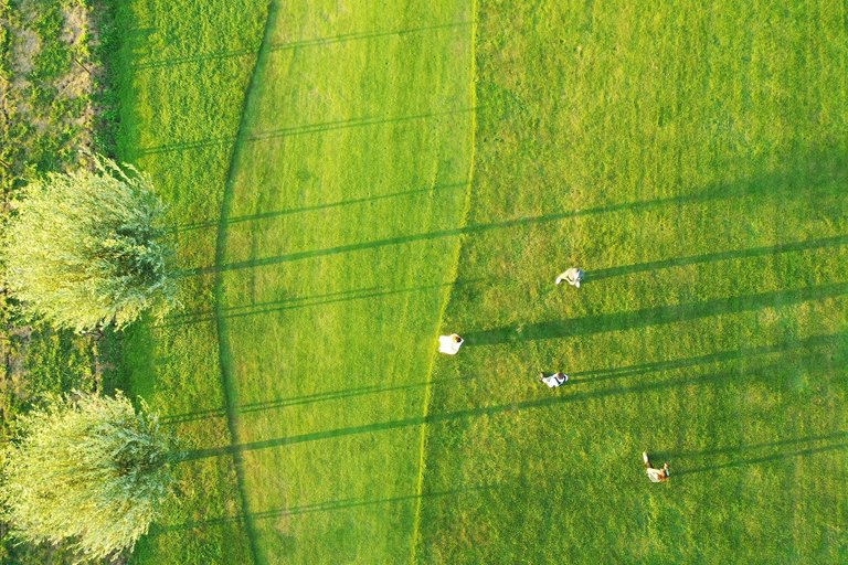 DJI_0938.jpg