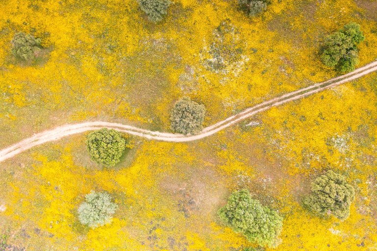DJI_0314.jpg