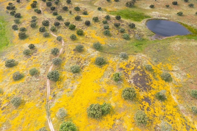 DJI_0321.jpg