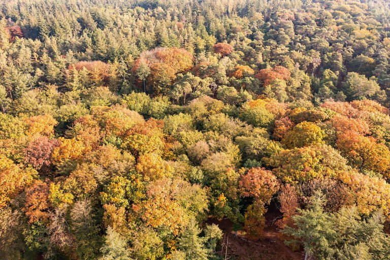 DJI_0335.jpg
