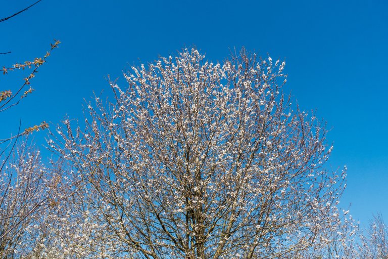 DSC09219.jpg