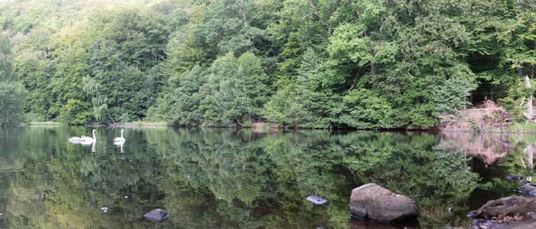 IMG_0191-Pano.jpg