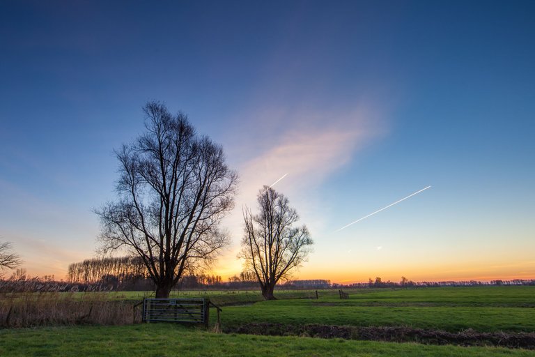 IMG_9108-HDR.jpg