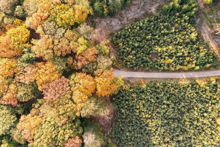 DJI_0330.jpg