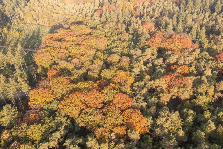 DJI_0320.jpg