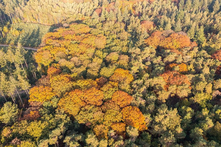 DJI_0319.jpg