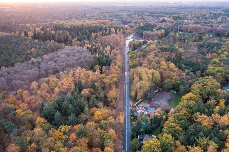 DJI_0126.jpg
