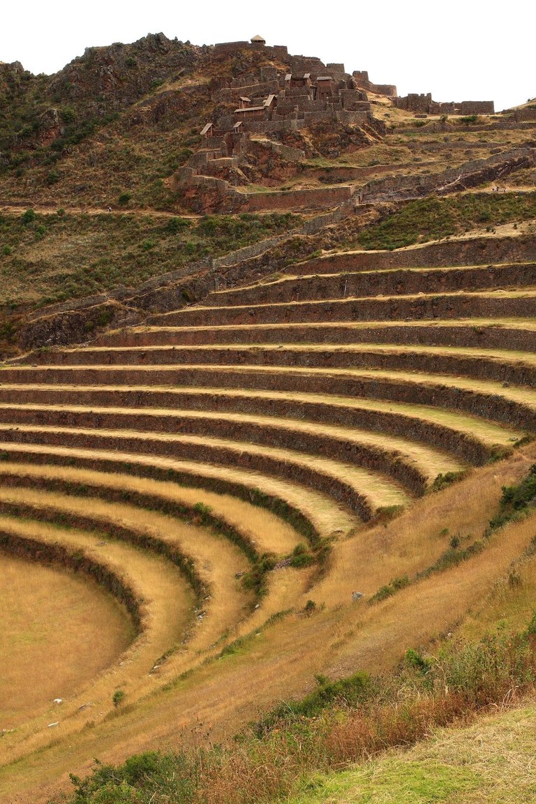 Peru (1044).jpg