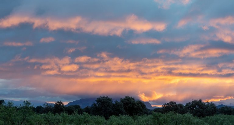 2X9A5168-Pano.jpg