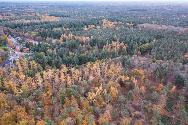 DJI_0124.jpg