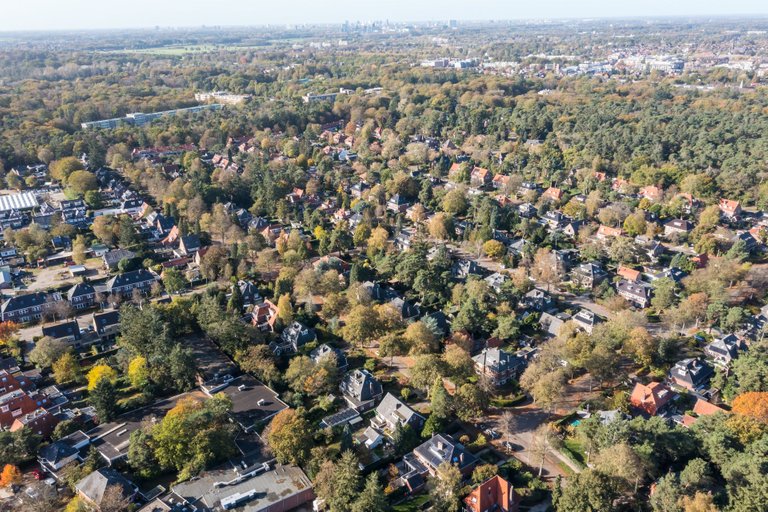 DJI_0091.jpg