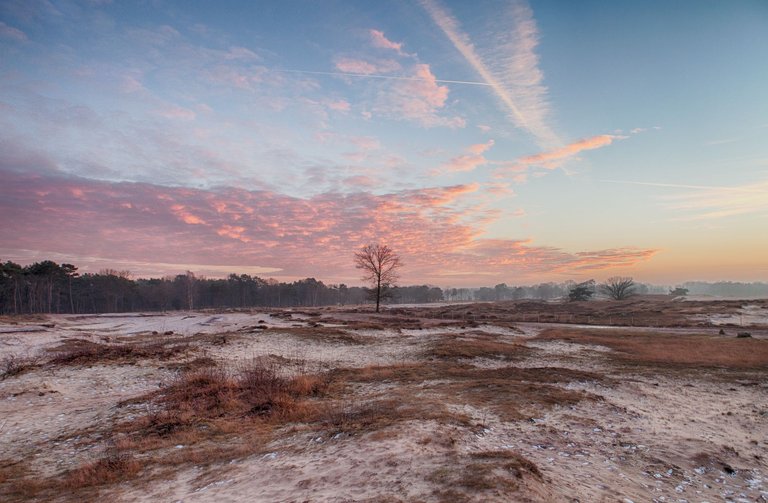 IMG_0083_HDR_2.jpg