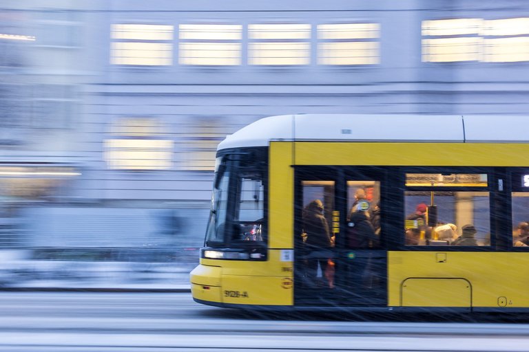 IMGL9517.jpg