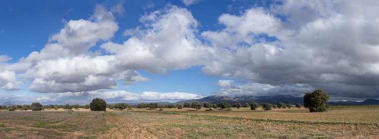 2X9A4567-Pano.jpg