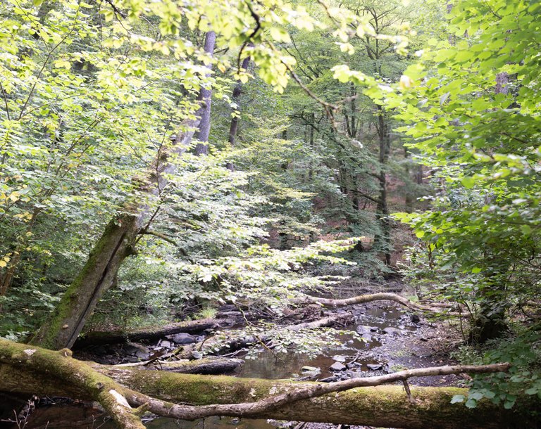 IMG_0286-Pano.jpg