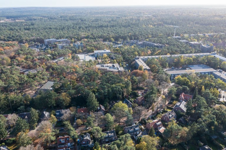 DJI_0095.jpg